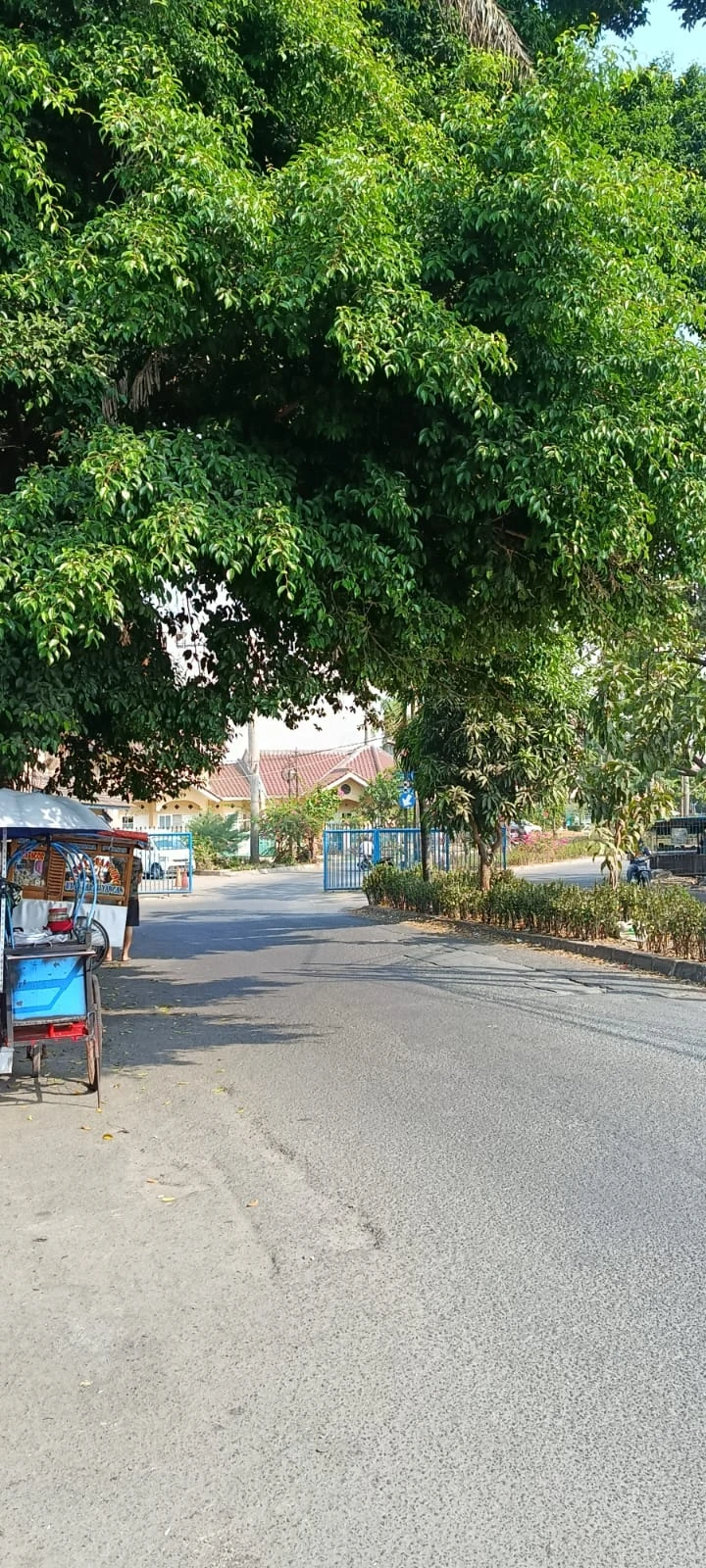 Foto akses jalan sekitar Rumah Pondok Bahar dengan pepohonan